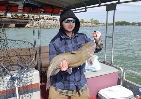 most used male catfish pictures